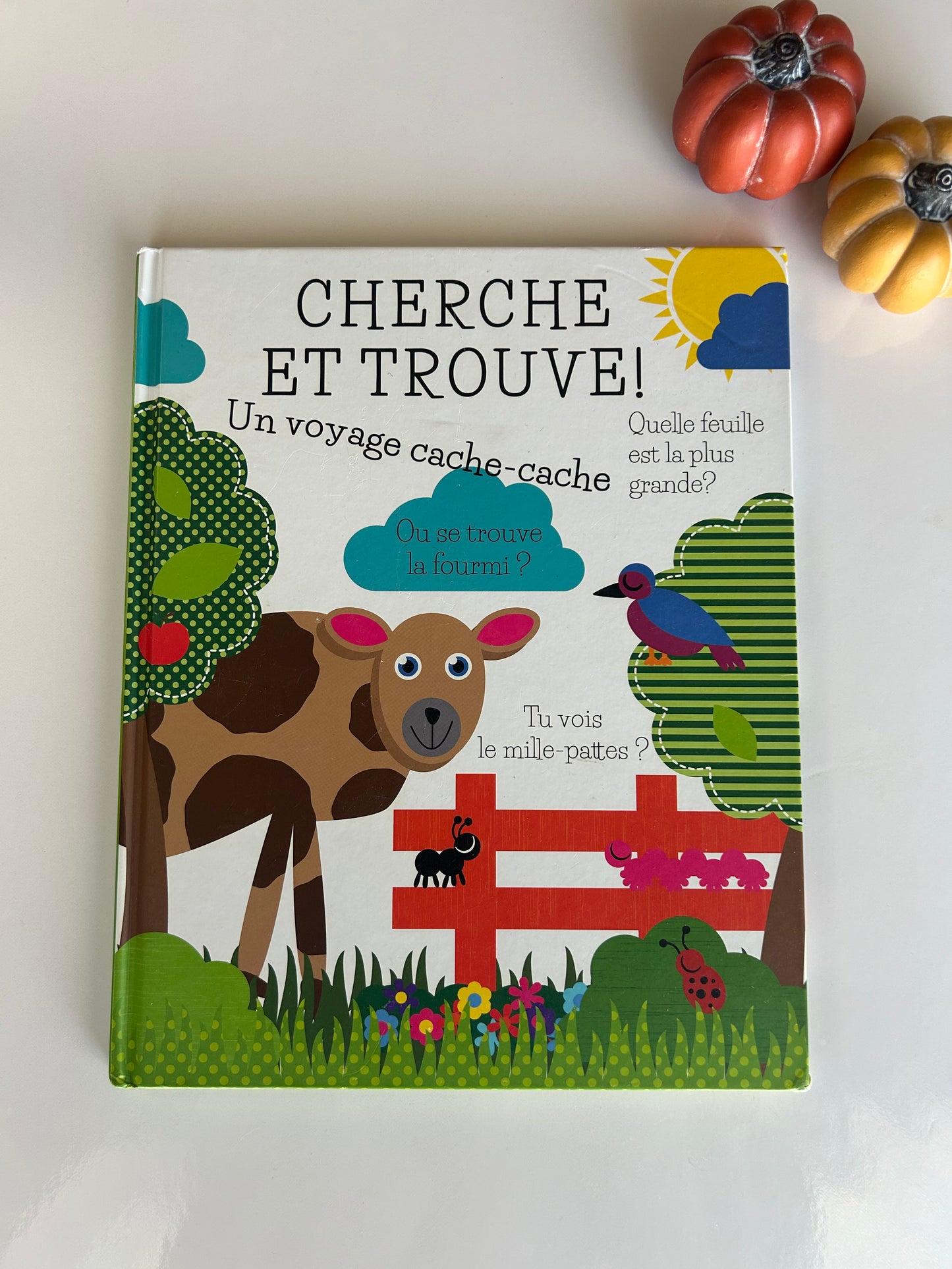 Cherche & Trouve