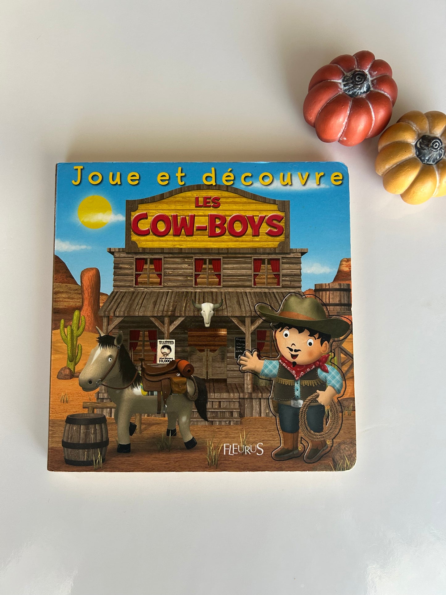 Les cow-boys (encastrements à l’intérieur)