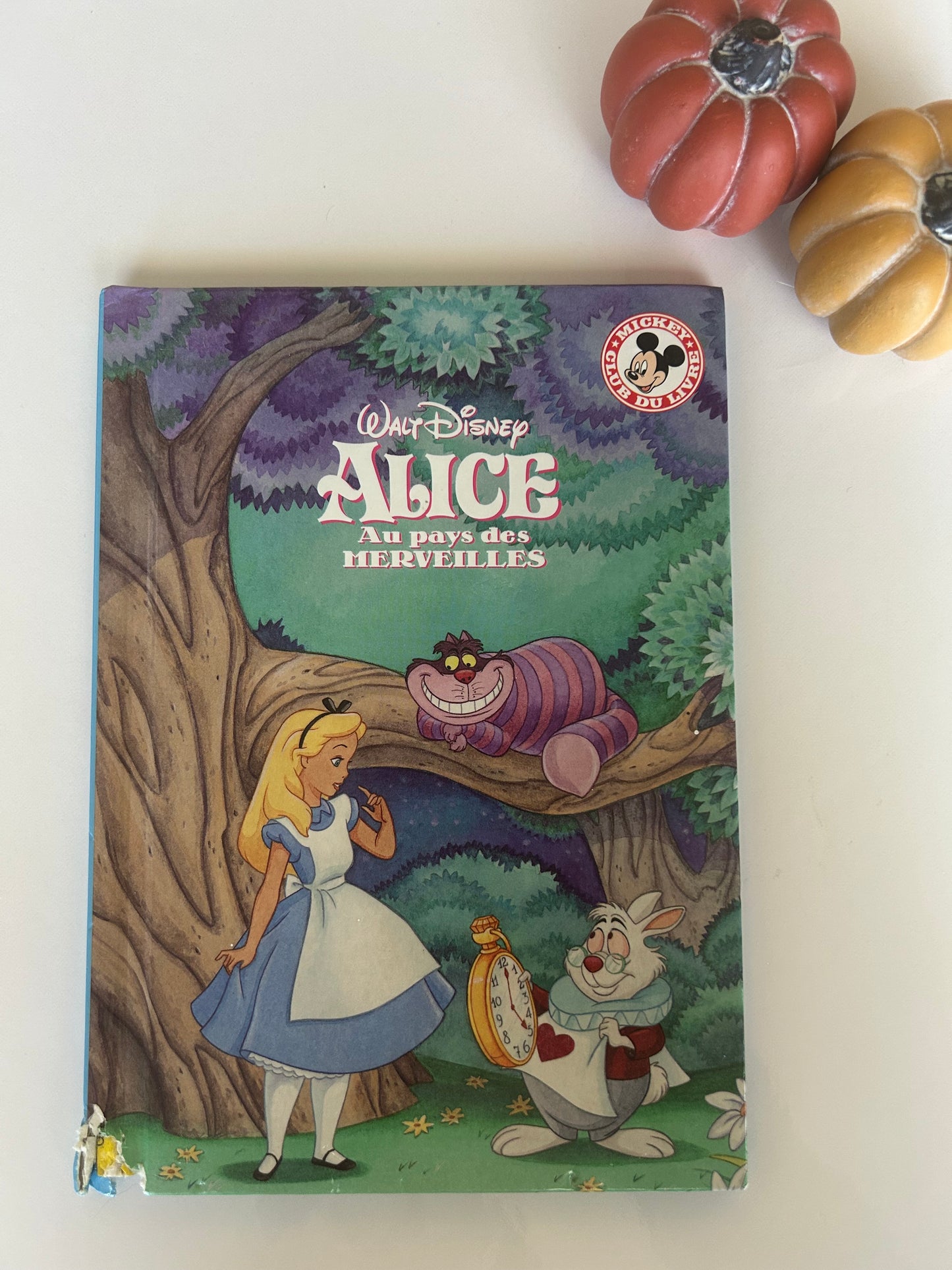 Disney *coin en bas magané*