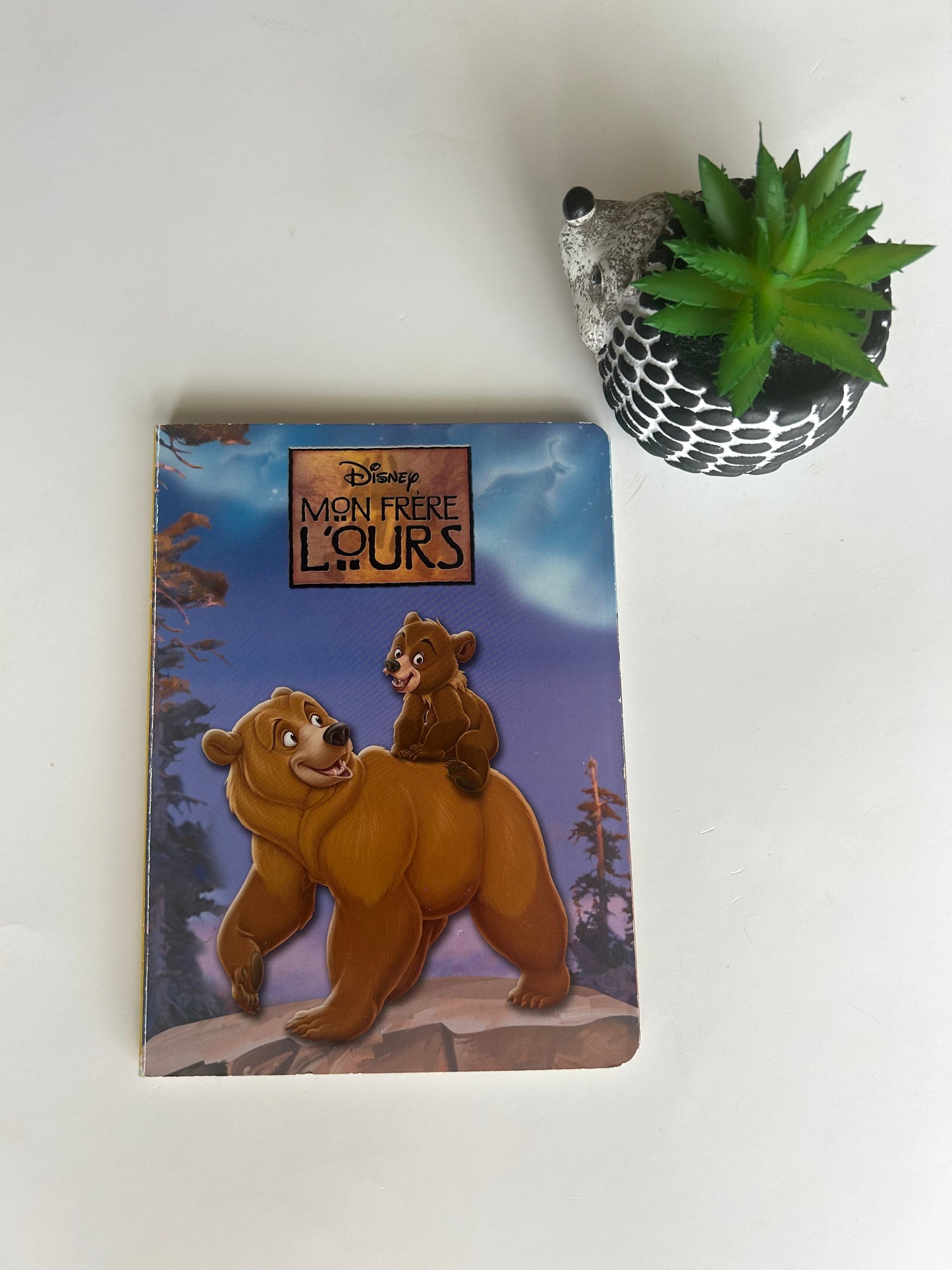 Livre en carton rigide