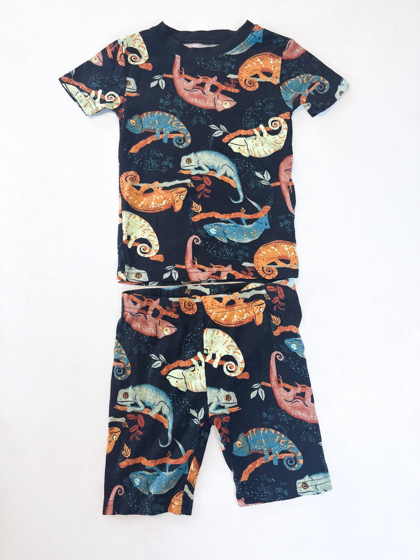 PYJAMA / Carter’s 5T