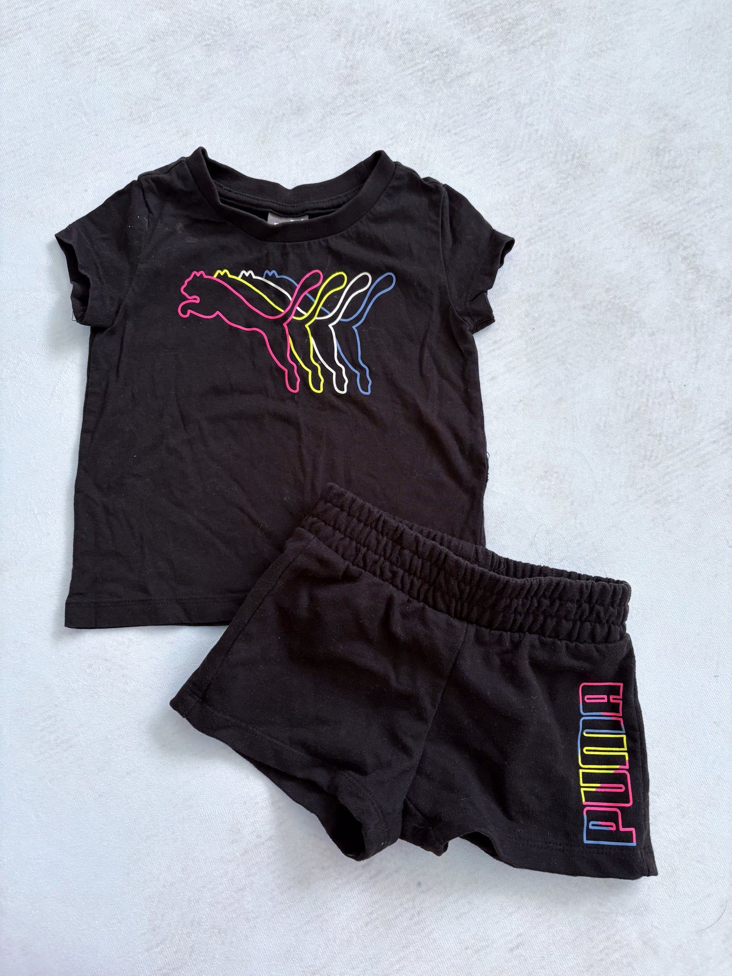 ENSEMBLE / Puma 2T