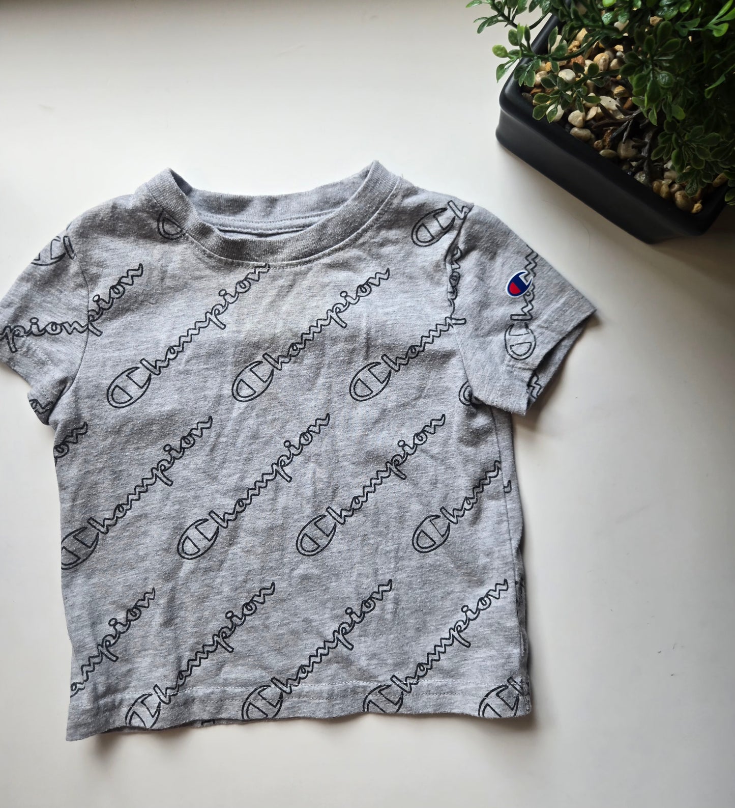 Champion 12M