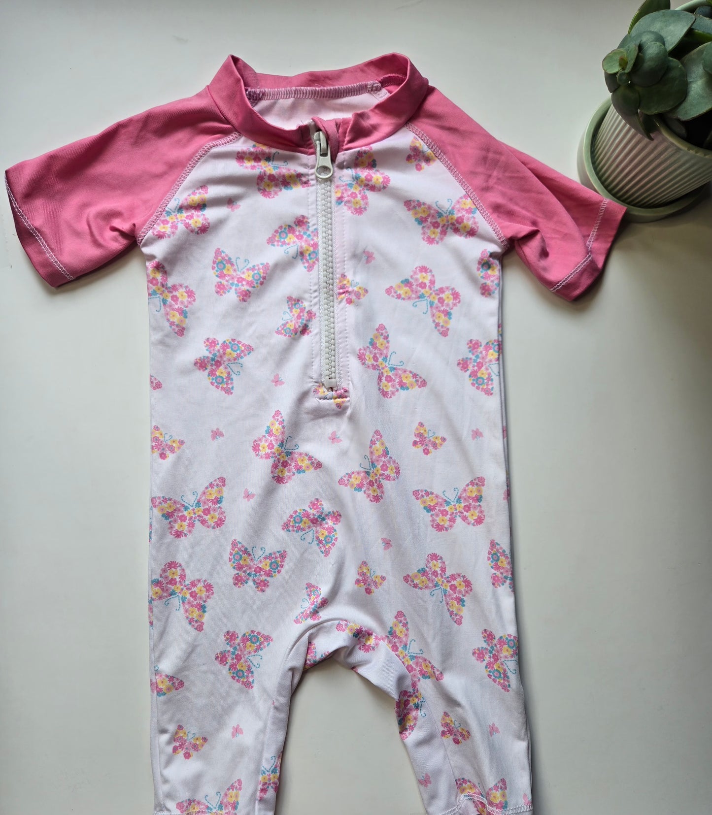 Coyote and Co 3-6M