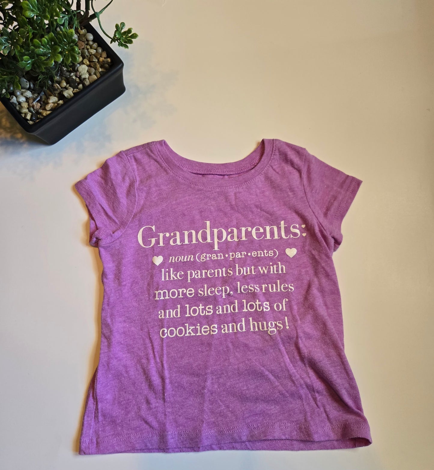 The Children Place 2T