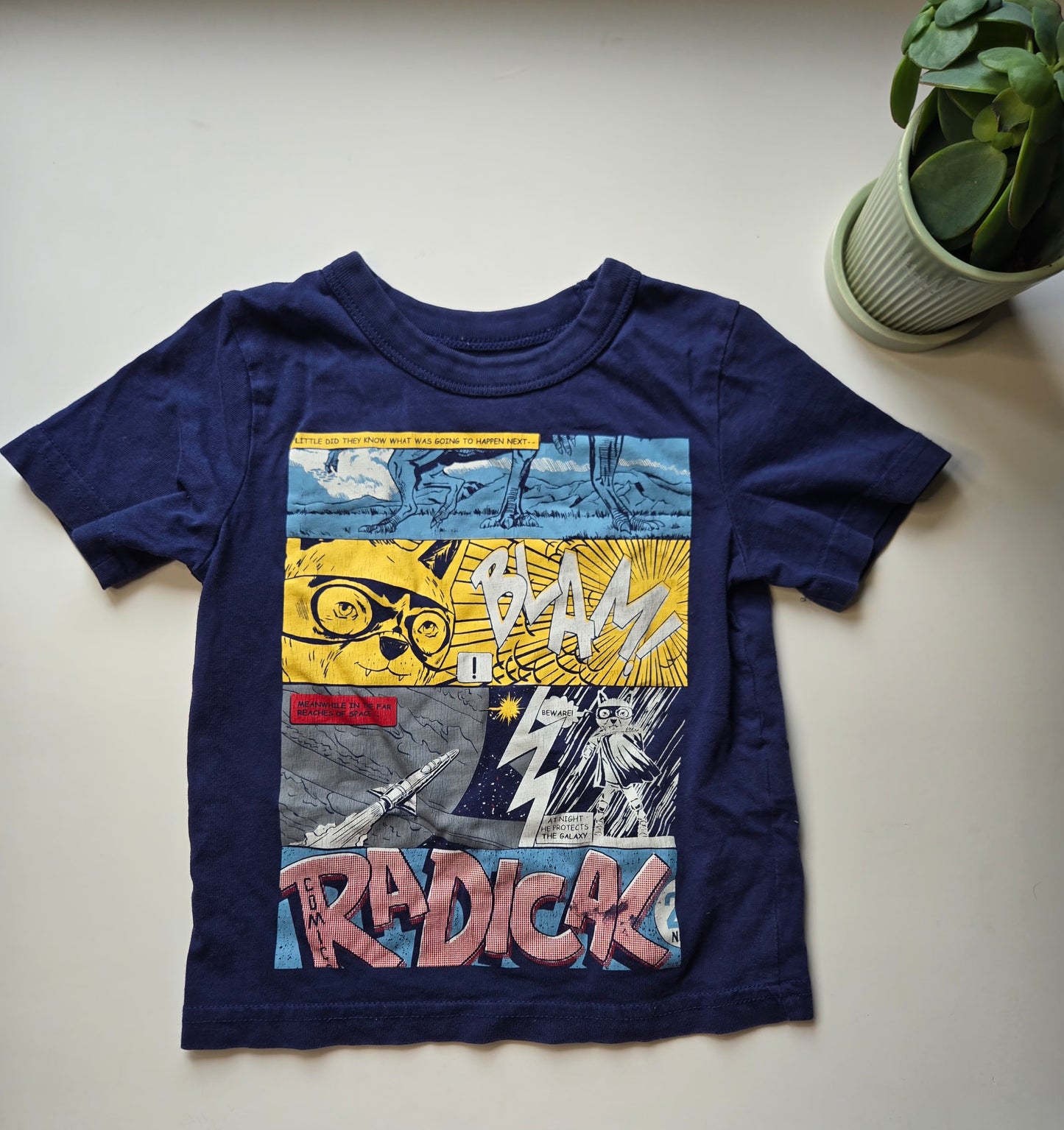 Joe Fresh 2T