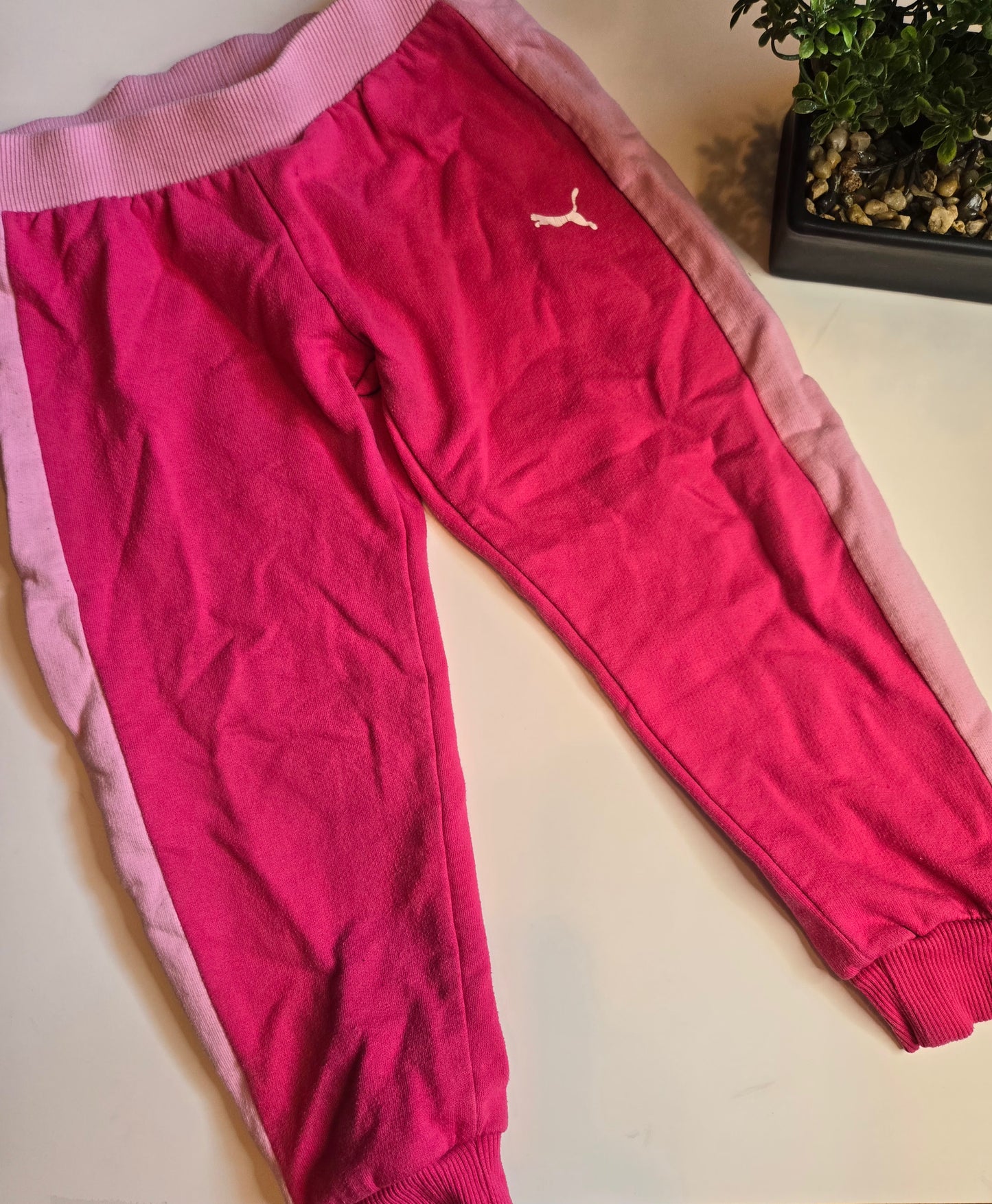 Puma 4T
