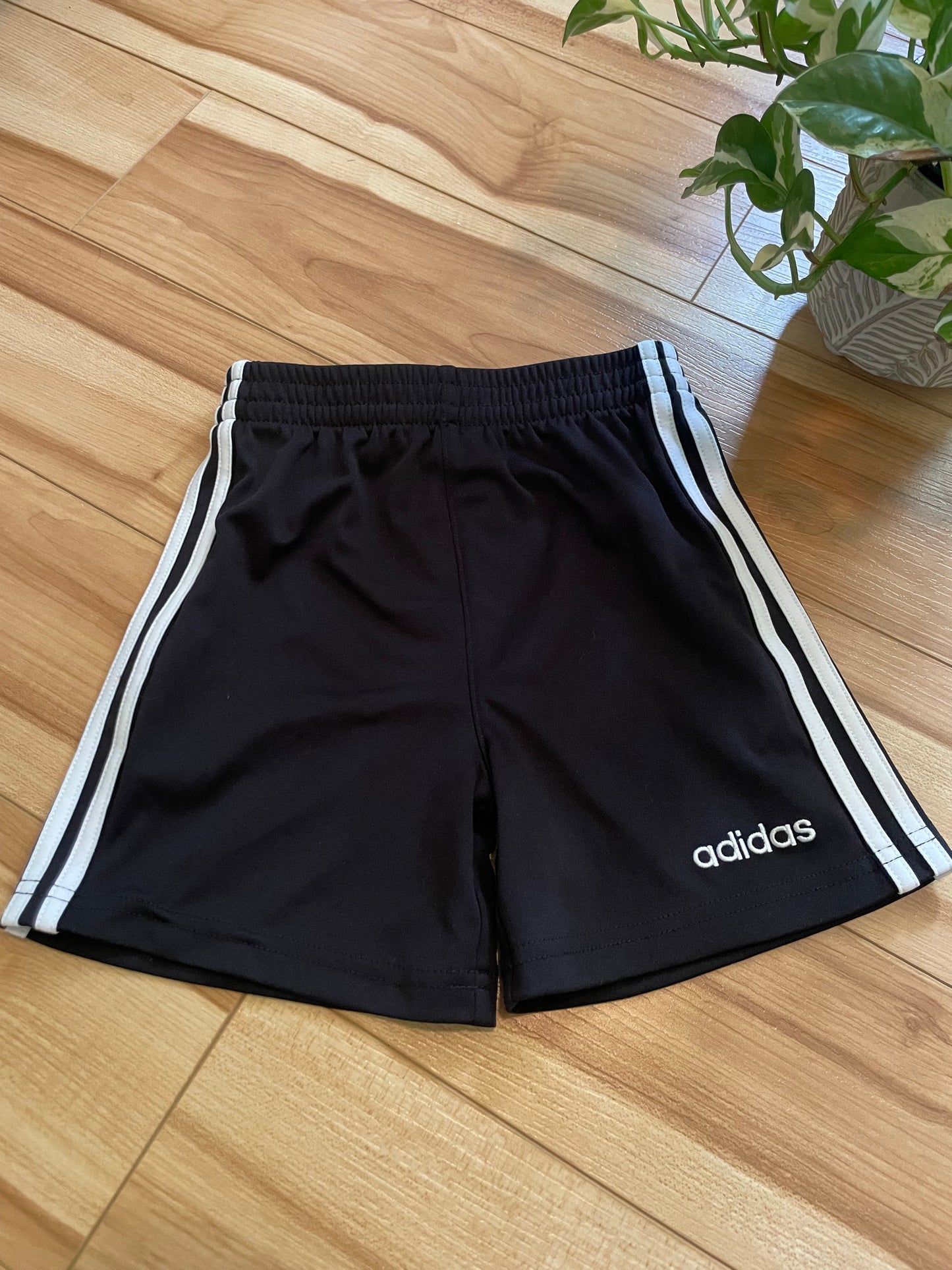 Short Adidas 24m