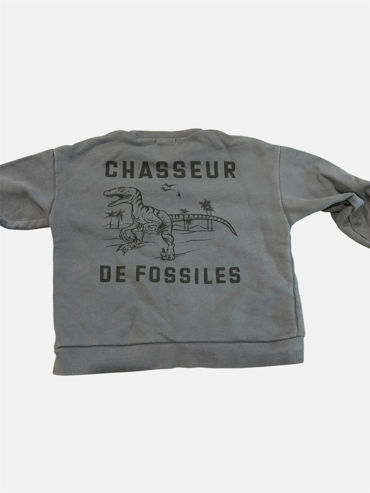 CHANDAIL / Blumind 5T (fait4T)