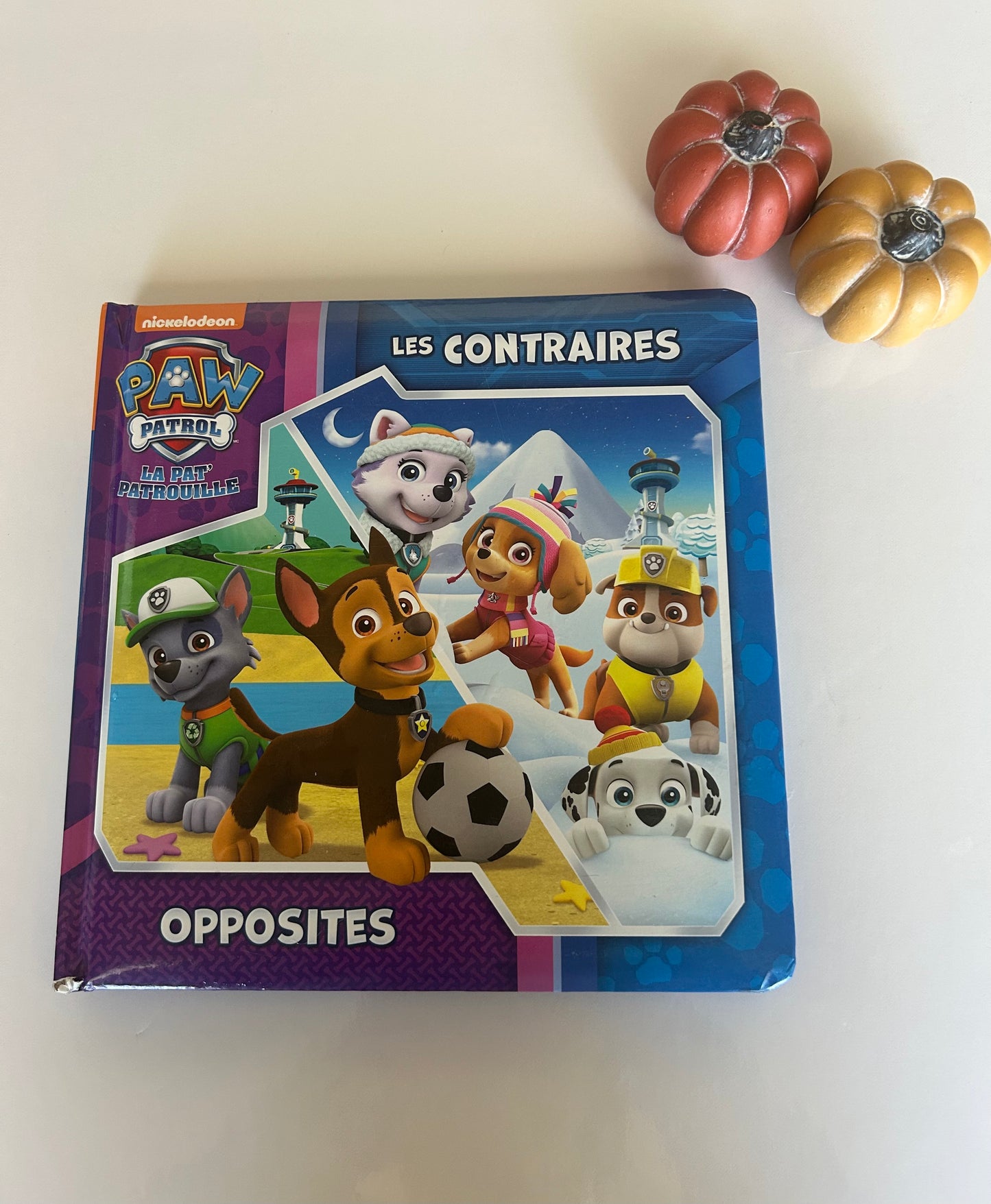 Les contraires (en carton)