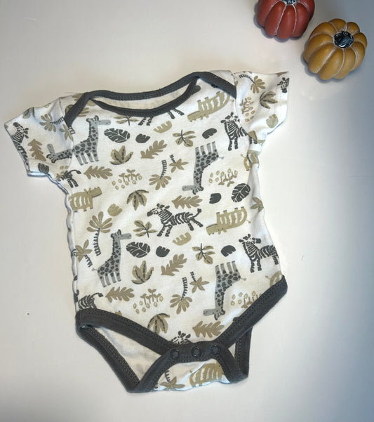 Chick pea 3-6m
