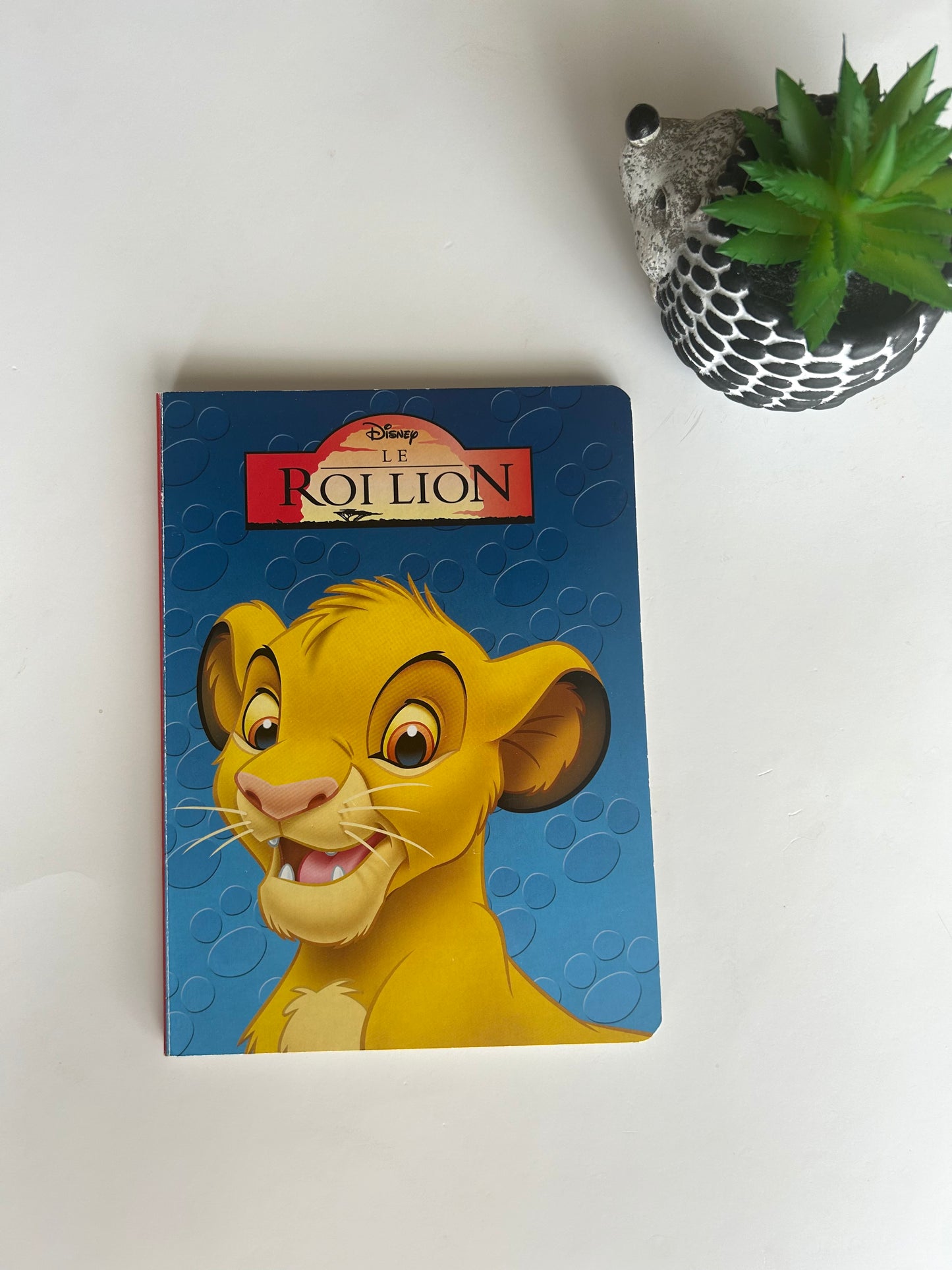 Livre en carton rigide