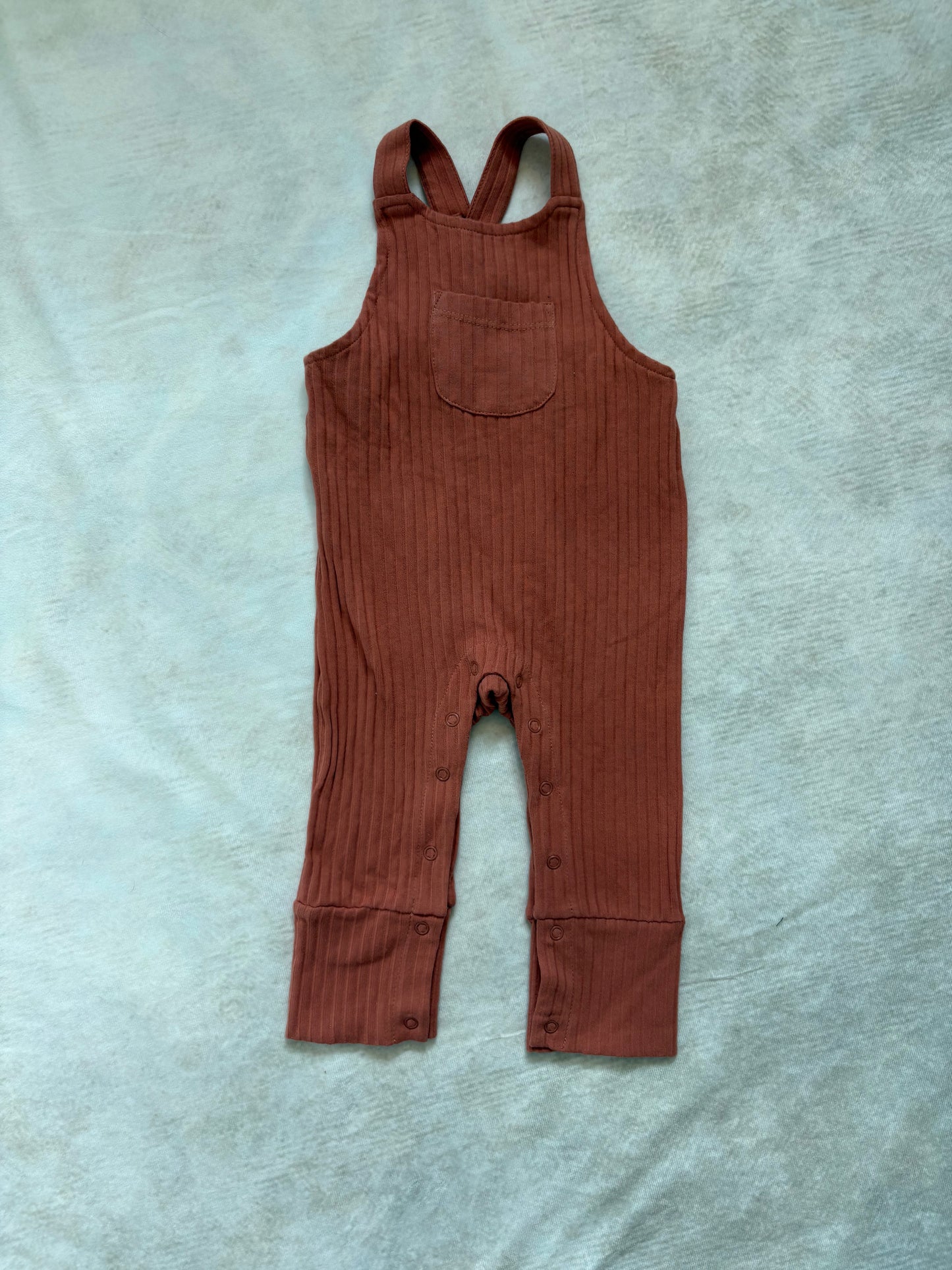 ENSEMBLE / trois moutons 6 mois