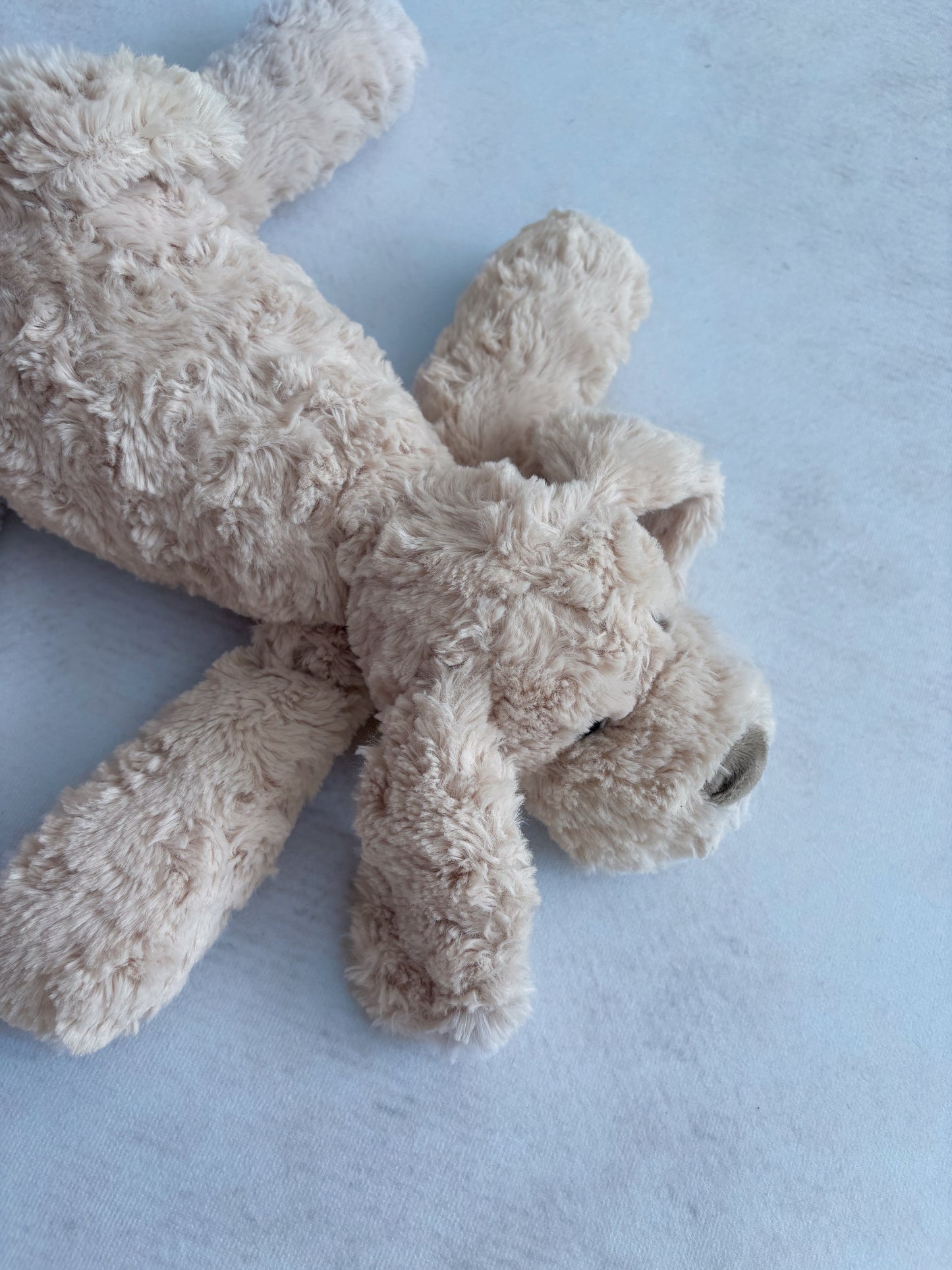 TOUTOU / Chien Simons
