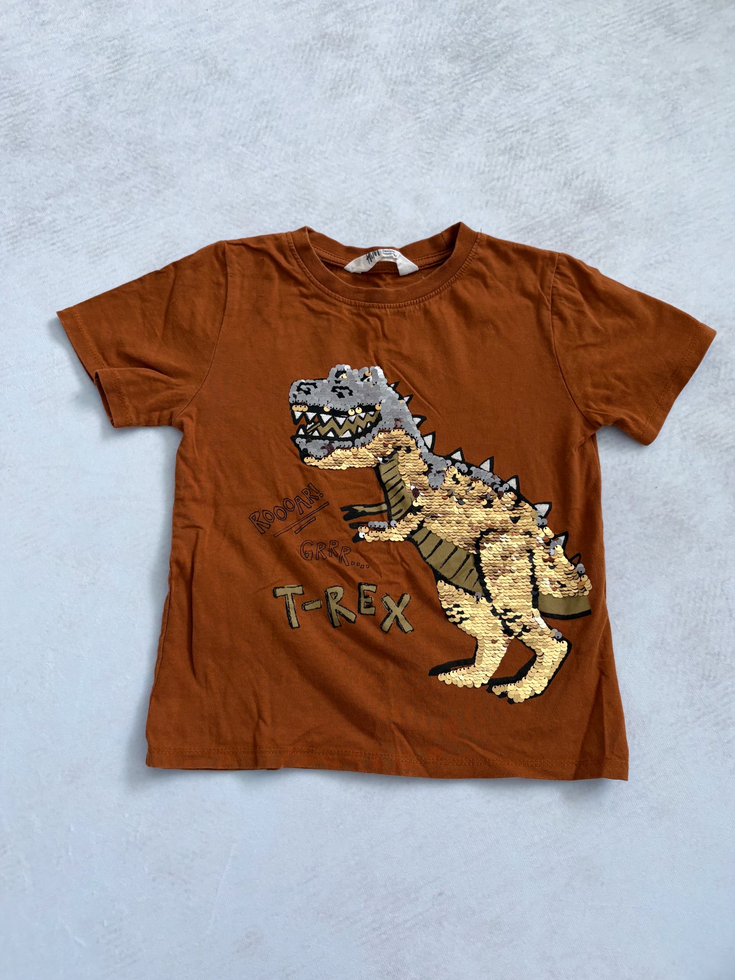 T-SHIRT / H&M 4-5 ans
