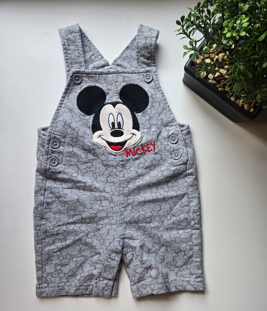 Disney Baby 9M