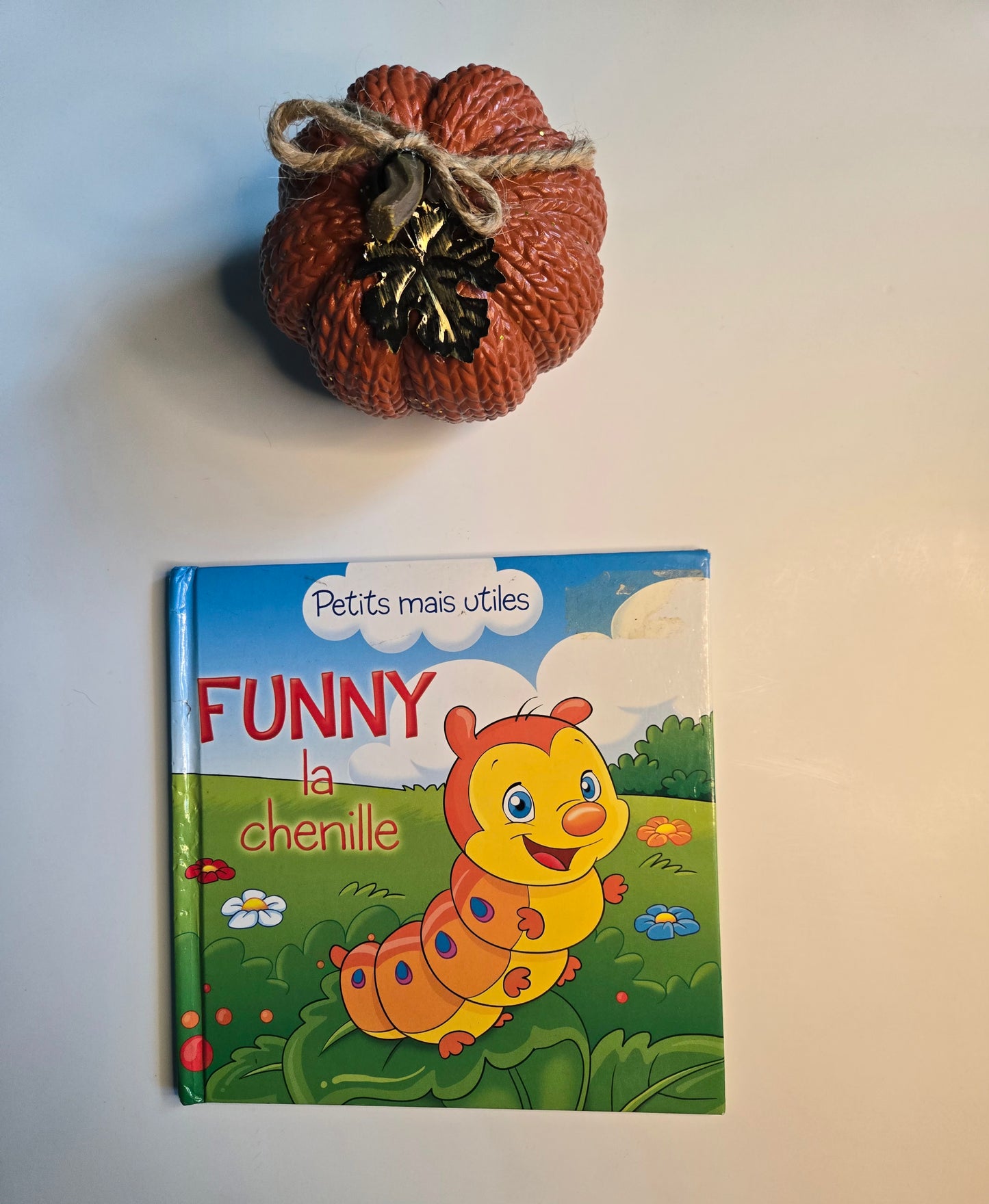 Funny la chenille *usé