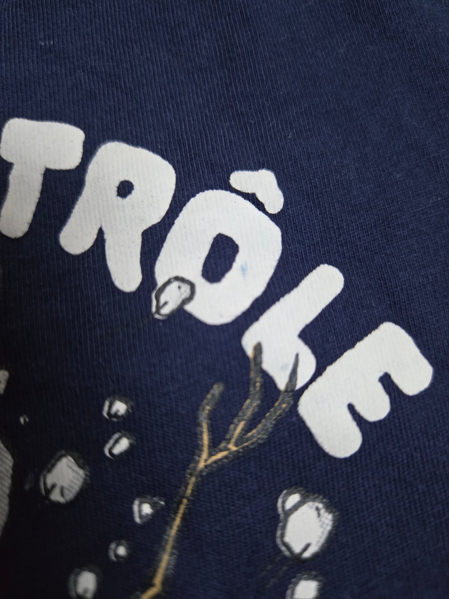 Tag 4T *Mini tâche sur le ô*