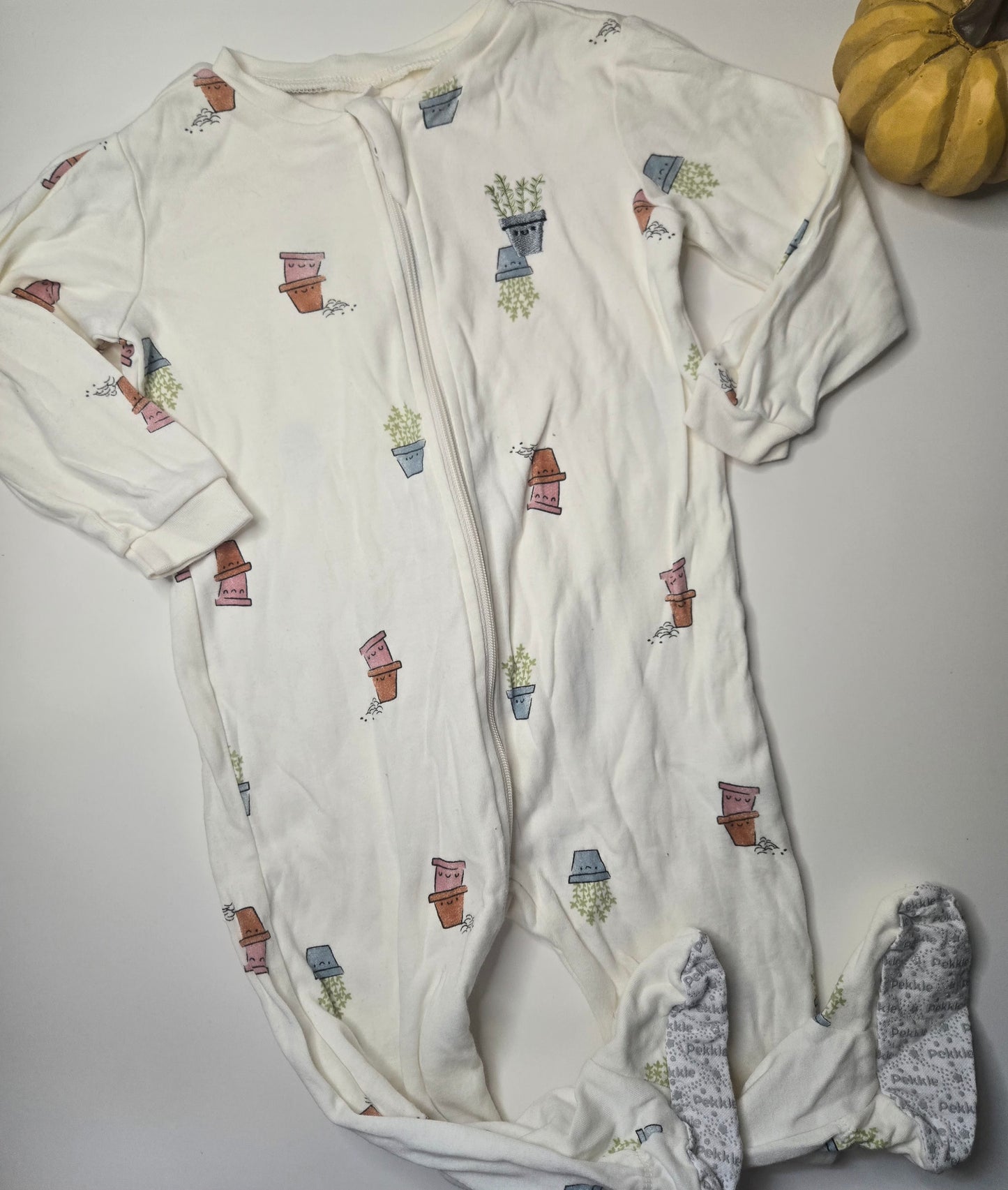 Pekkle 12M *tâche peu visible*