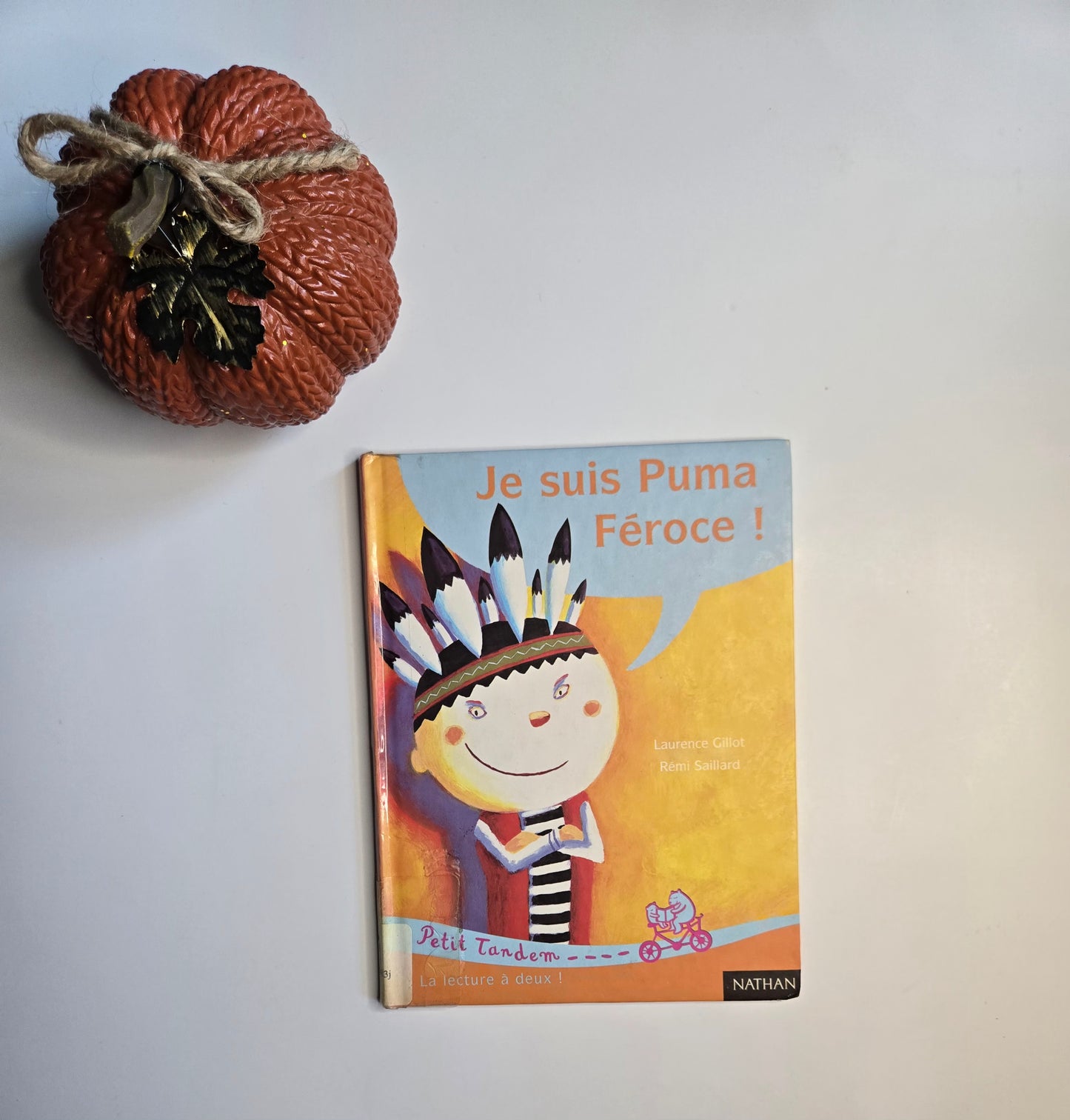 Je suis Puma féroce