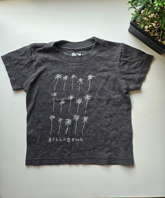 Billabong Recycler 18M