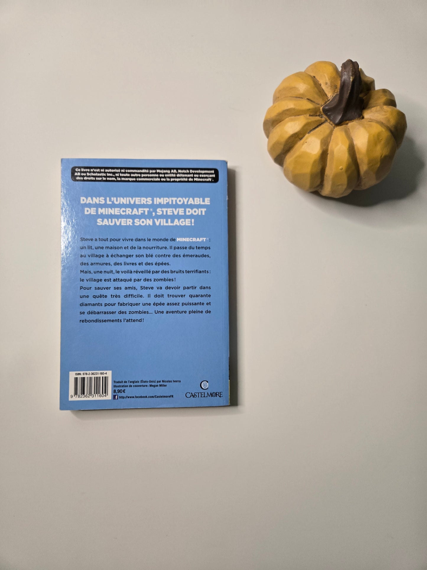 La quête de l'épée de diamant (MINECRAFT)